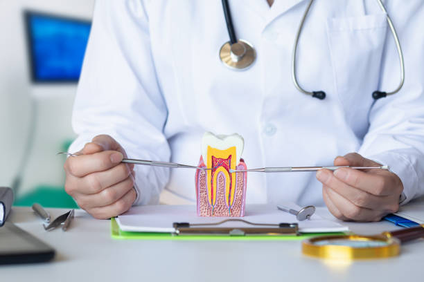 Best Emergency Care for Gum Disease in West Allis, WI